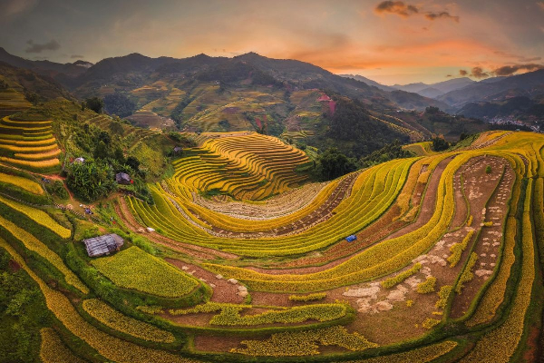 7D6N Magical Mu Cang Chai & Stunning Sapa Tour - photo 11